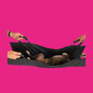 CAMILLA TRANSPORTADORA